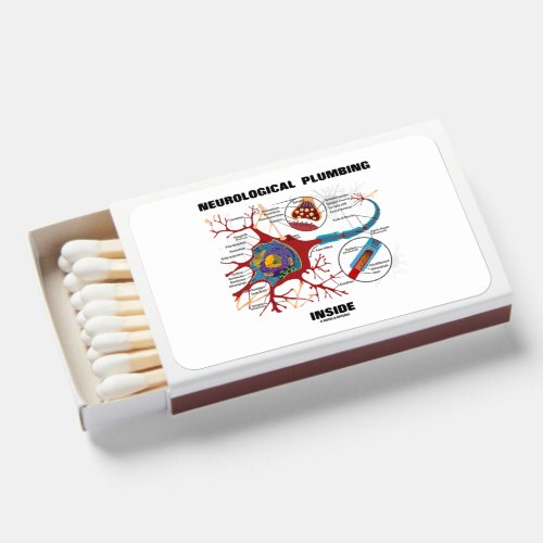 Neurological Plumbing Inside Neuron Synapse Humor Matchboxes