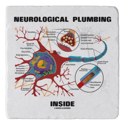 Neurological Plumbing Inside Neuron Synapse Humor Trivet