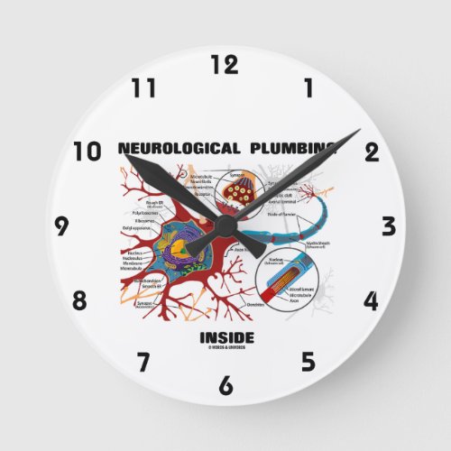 Neurological Plumbing Inside Neuron  Synapse Round Clock