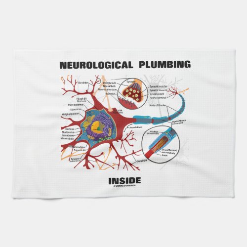 Neurological Plumbing Inside Neuron  Synapse Towel