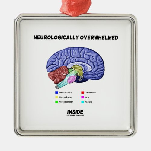 Neurologically Overwhelmed Inside Brain Humor Metal Ornament