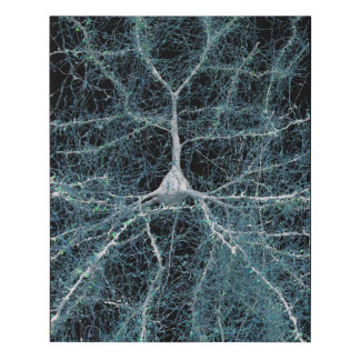 Neuron Art Faux Canvas Print