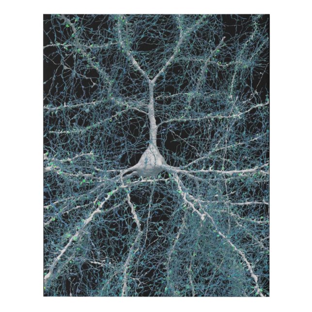 Neuron Art Faux Canvas Print (Front)