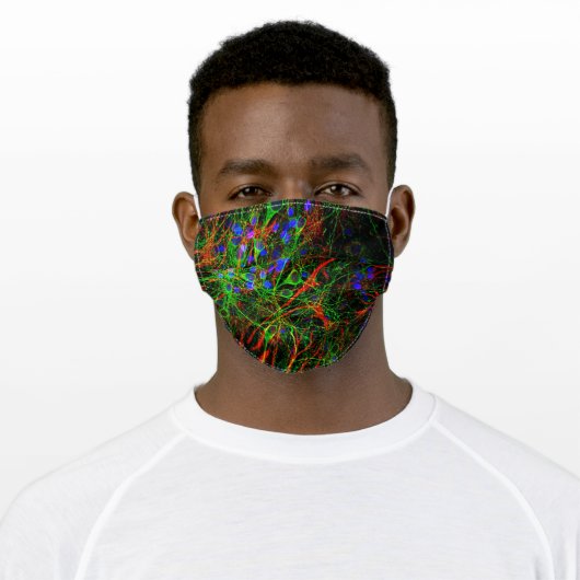 Neuron Astrocytes Adult Cloth Face Mask (Worn)