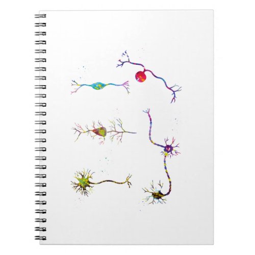 Neuron cells notebook