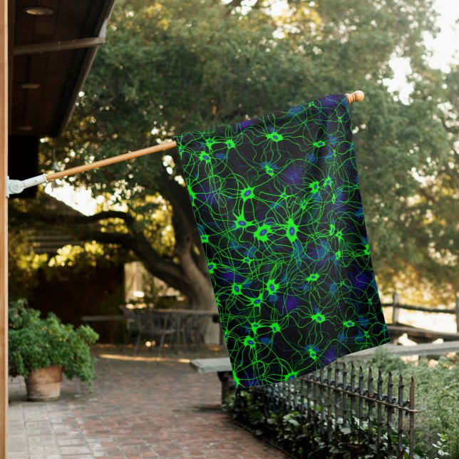 Neuron City House Flag (In SItu)