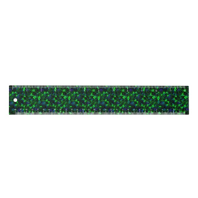 Neuron City Ruler (Front)