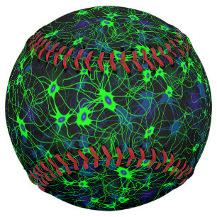 Neuron City Softball