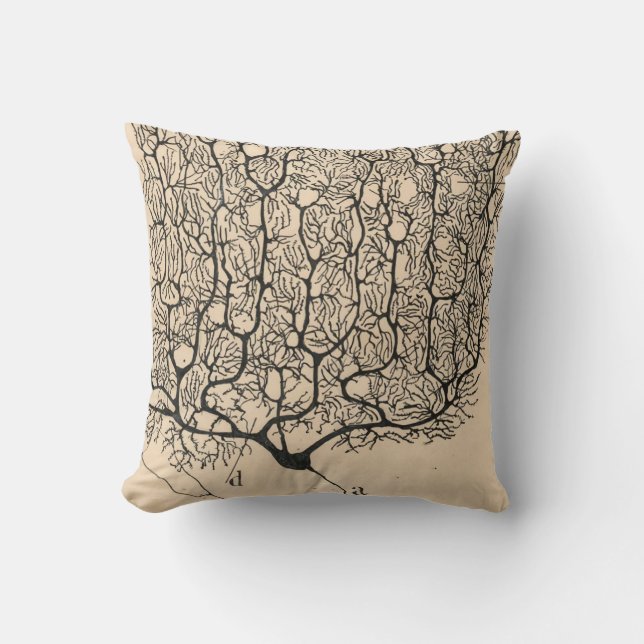 Neuron Drawing By Santiago Ramón Y Cajal Throw Pillow (Front)