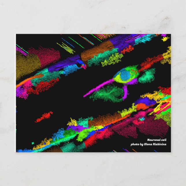 Neuronal cell postcard  (Front)