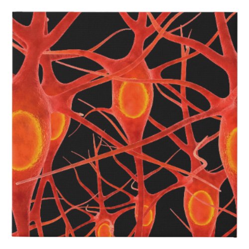 Neuronneural3danatomyaxonbiobiologicalbiolus Faux Canvas Print