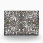 Neurons Acrylic Award<br><div class="desc"></div>