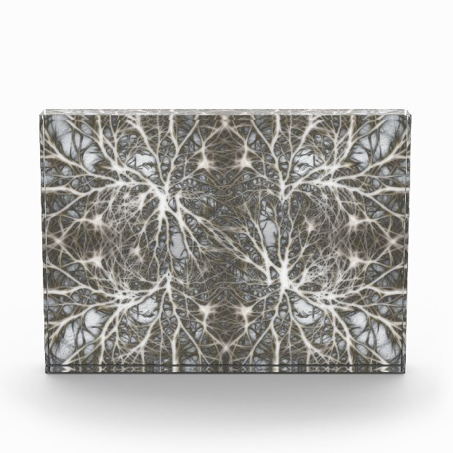 Neurons Acrylic Award (Front)