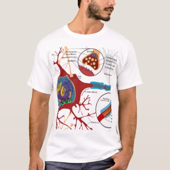 Neurons Nerve Healthy T-shirt by Wonderful12345 at Zazzle