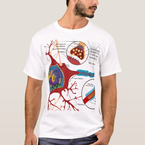 Neurons Nerve Healthy T_Shirt