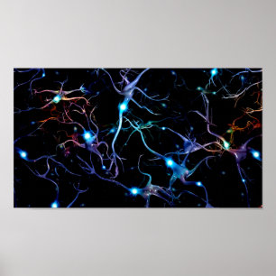 Neurons Poster