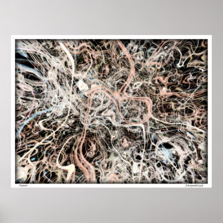 Neurons Poster