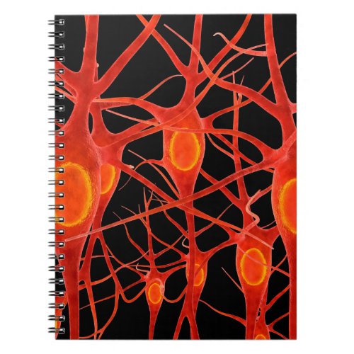 Neuronsneural3danatomyaxonbiobiologicalbiolo Notebook