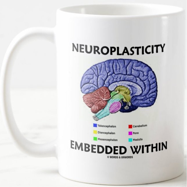 Neuroplasticity Embedded Within Brain Anatomy Coffee Mug (Brainy mug for anyone who learns a lot and in different ways w/ "Neuroplasticity Embedded Within")