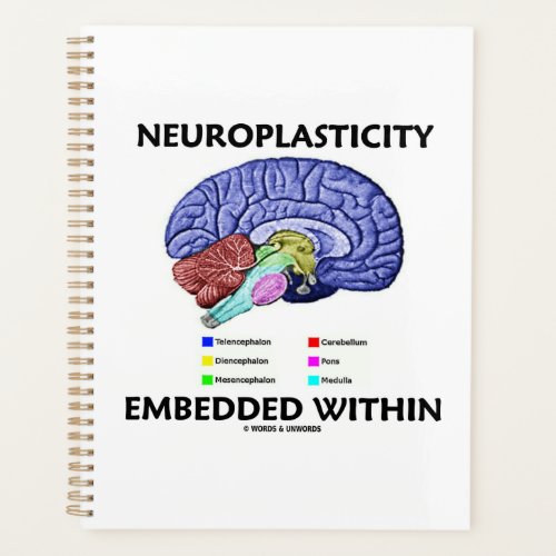 Neuroplasticity Embedded Within Brain Anatomy Planner