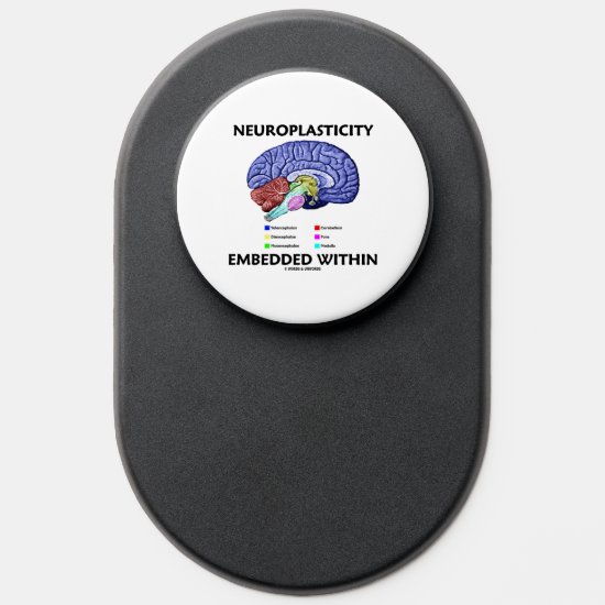 Neuroplasticity Embedded Within Brain Anatomy PopSocket