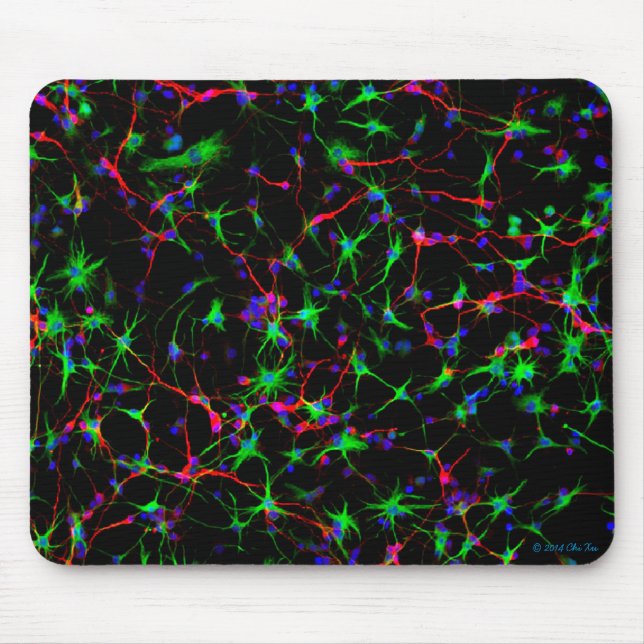 Neuroscience mouse pad (Front)