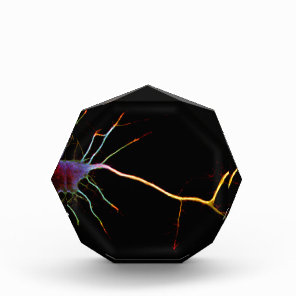 Neuroscience, neuron, science acrylic award