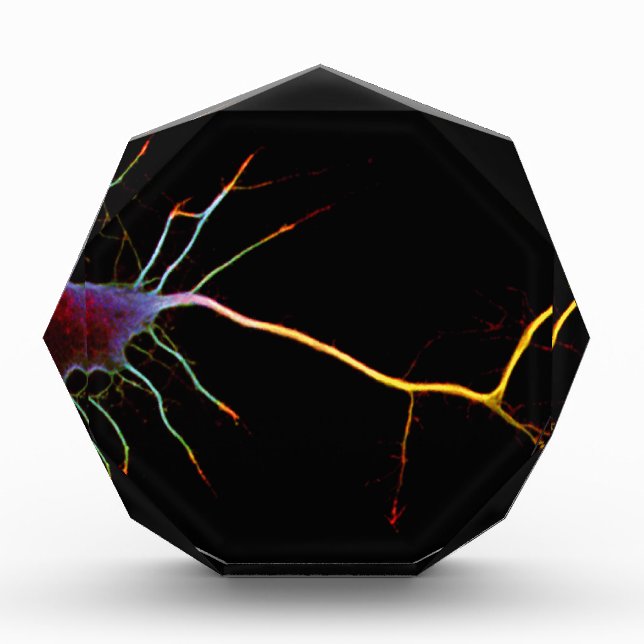 Neuroscience, neuron, science award (Front)