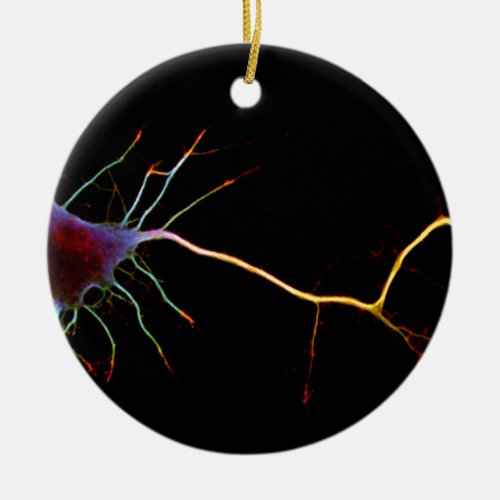 Neuroscience neuron science ceramic ornament