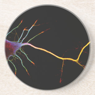 Neuroscience, neuron, science drink coaster