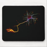 Neuroscience, neuron, science mouse pad<br><div class="desc">Original This image is,  the result of hard work in the development of my thesis.</div>