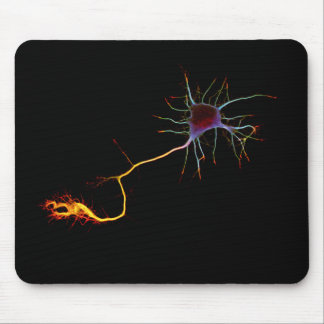 Neuroscience, neuron, science mouse pad