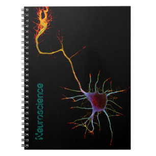Neuroscience, neuron, science notebook