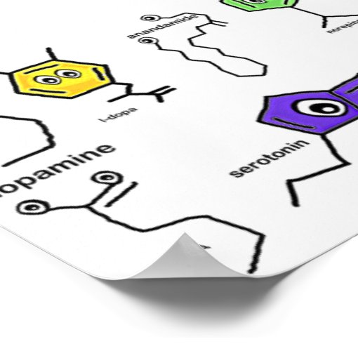 neurotransmitter-poster-zazzle