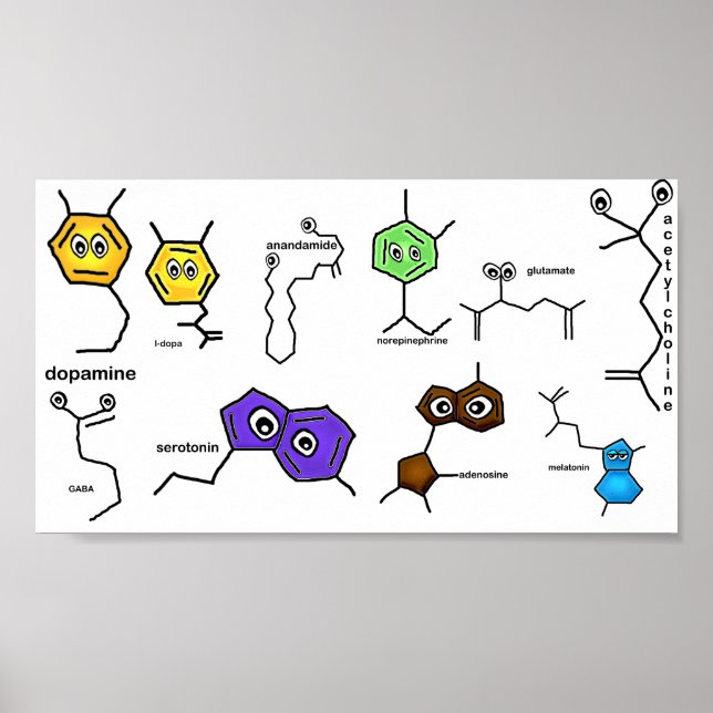 Neurotransmitter Poster (Front)