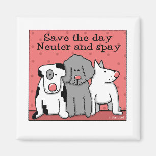 Neuter and Spay Save the Day Magnet