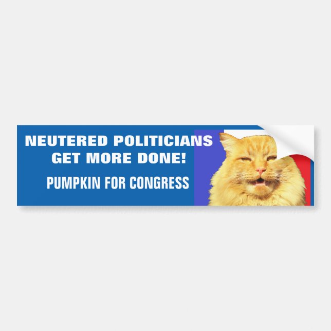 Neutered Politicians Get More Done - Cat Meme Bumper Sticker (Front)