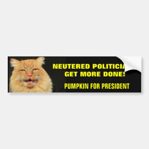 Neutered Politicians Get More Done Elect Pumpkin Bumper Sticker