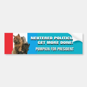 Neutered Politicians Get More Done Vote Pumpkin Bumper Sticker by talkingbumpers at Zazzle