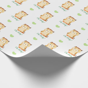 Neutral Baby Shower Wrapping Paper (Owl)