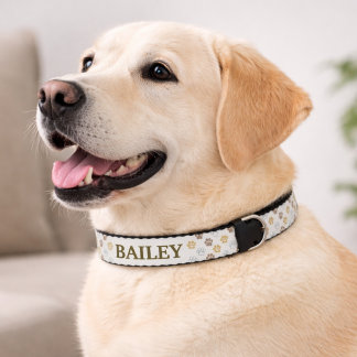 Neutral Beige Gold Paw Print Pet Name Collar