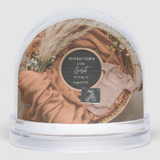 Neutral Boho basket pampas pregnancy announcement Snow Globe