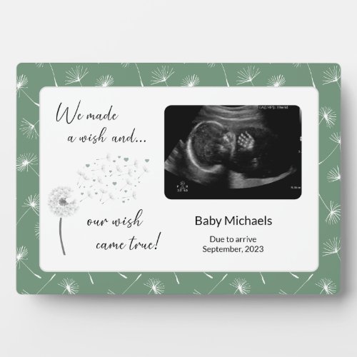 Neutral Green Our Wish Came True Ultrasound Photo Plaque