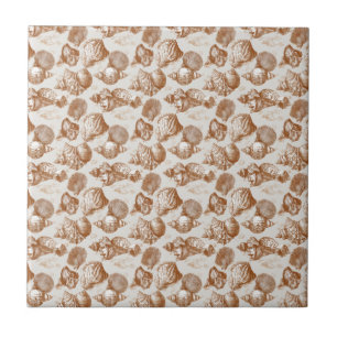 Neutral Nautical Seashell with Coastal Toile Style Ceramic Tile