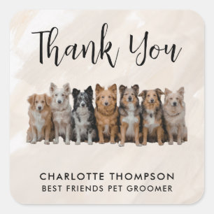 Neutral Pet Groomer Thank You Sticker