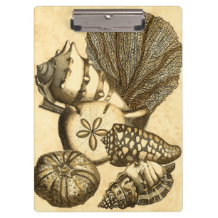 Neutral Shells and Coral Collection Clipboard