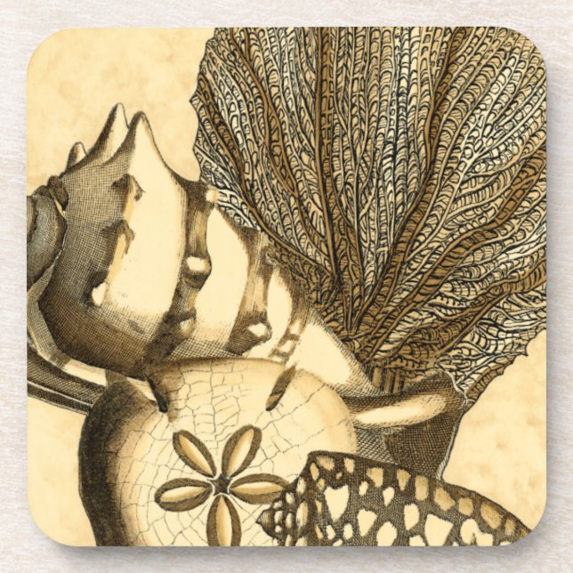 Neutral Shells and Coral Collection Drink Coaster (Front)