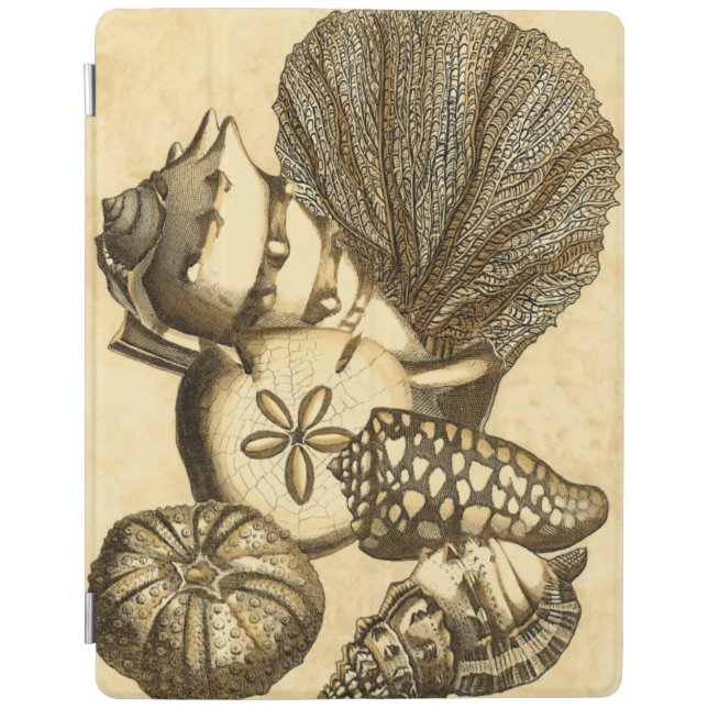 Neutral Shells and Coral Collection iPad Smart Cover (Front)