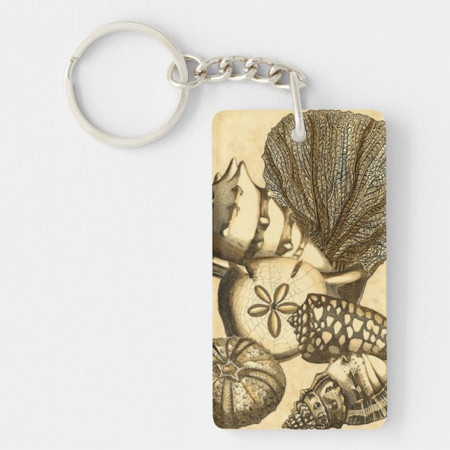 Neutral Shells and Coral Collection Keychain (Front)