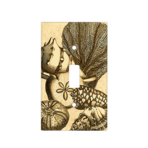Neutral Shells and Coral Collection Light Switch Cover